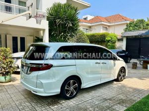 Xe Honda Odyssey  2016